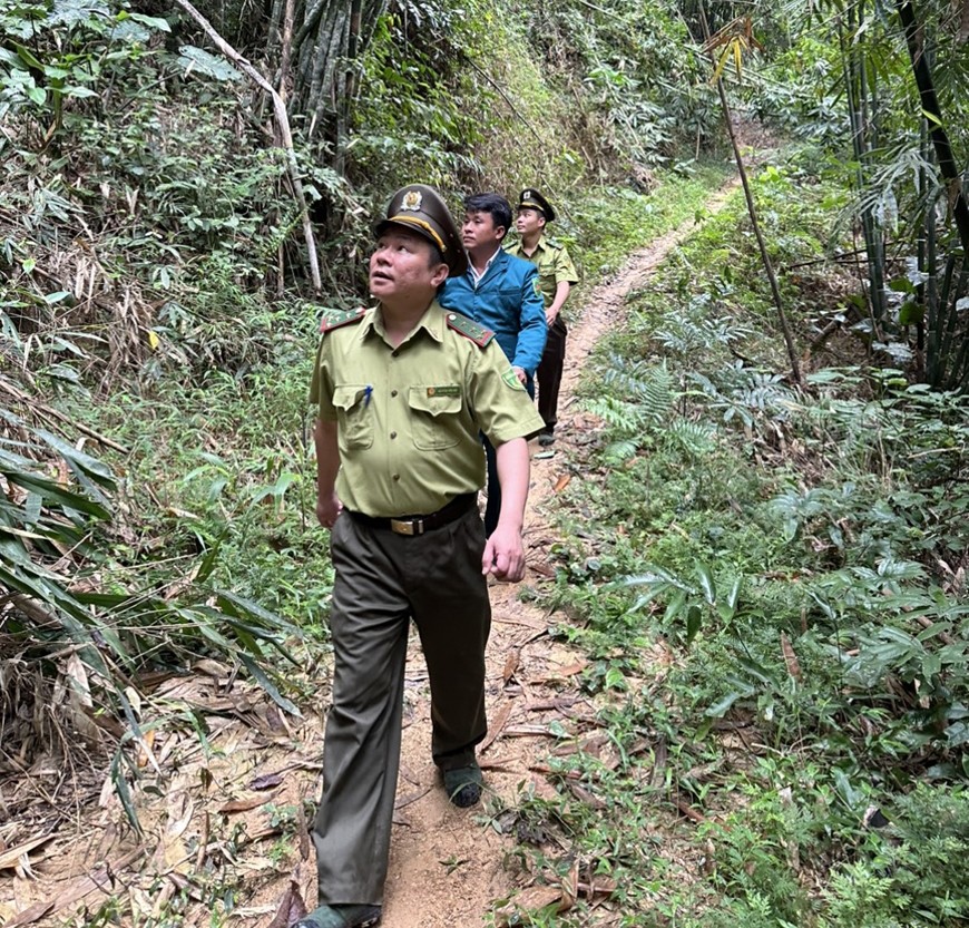 Bảo vệ rừng bền vững ở vùng biên giới Quan Sơn